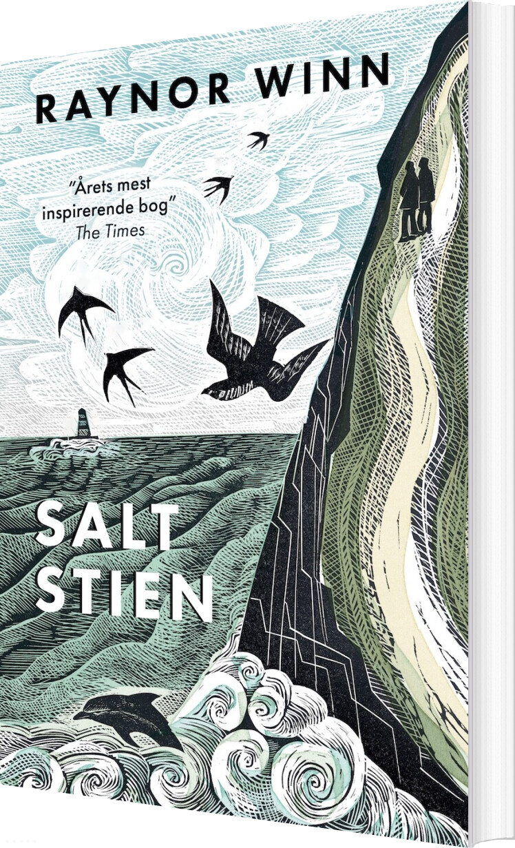 Saltstien - Raynor Winn - Bog