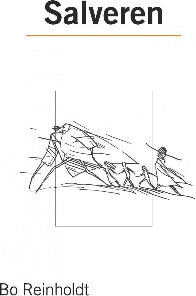 Salveren - Bo Reinholdt - Bog