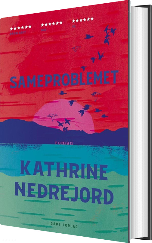 Sameproblemet - Kathrine Nedrejord - Bog
