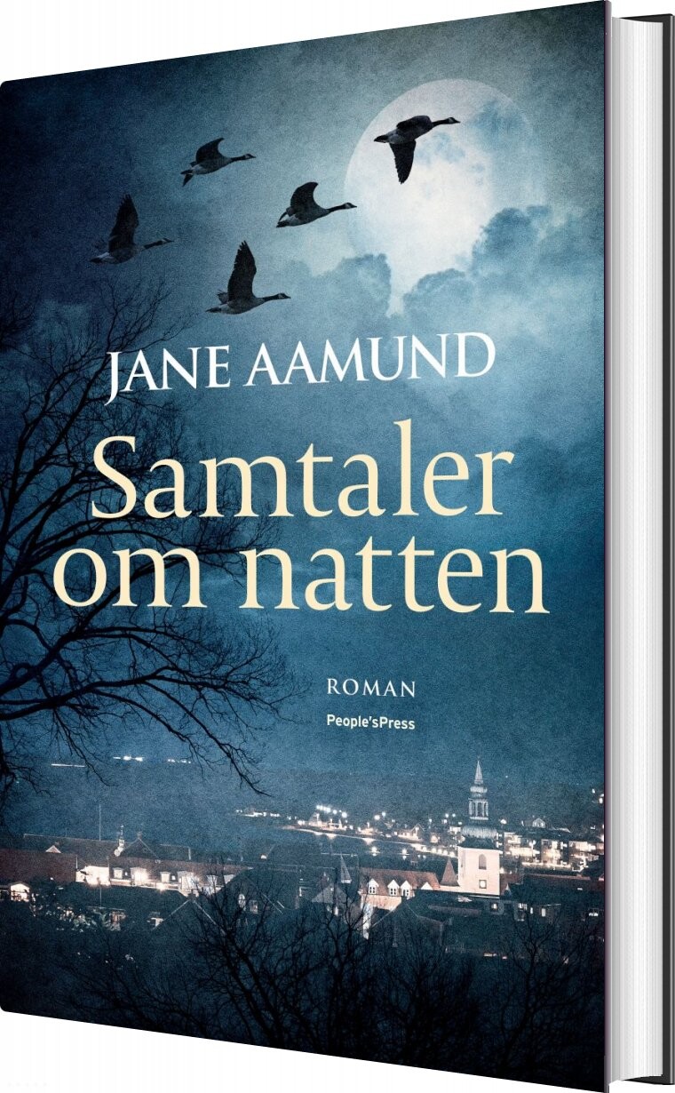 Samtaler Om Natten - Jane Aamund - Bog