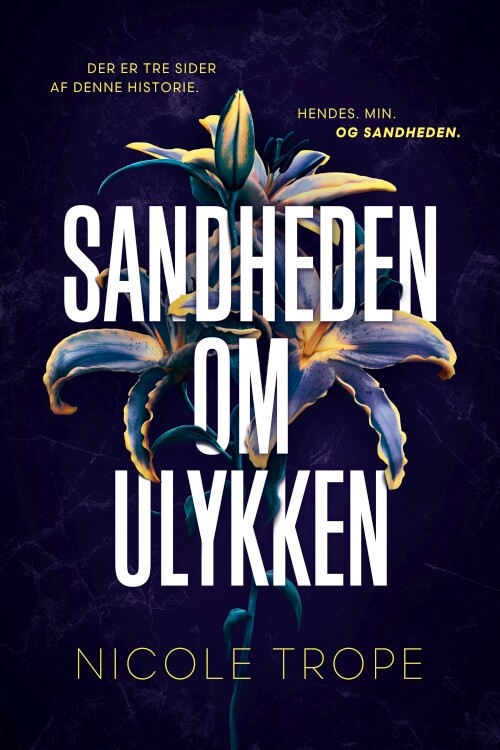 Billede af Sandheden Om Ulykken - Nicole Trope - Bog