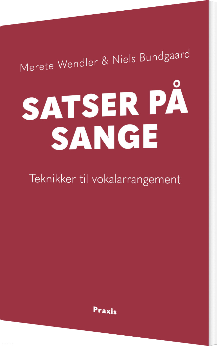 Satser På Sange - Niels Bundgaard - Bog