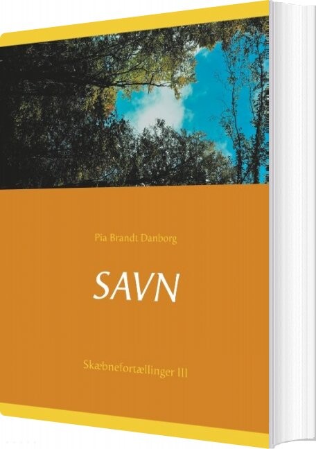 Billede af Savn - Pia Brandt Danborg - Bog