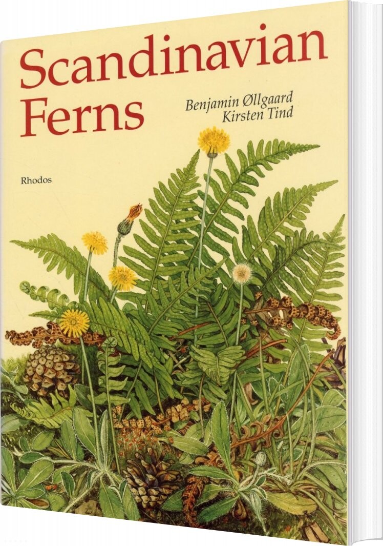 Scandinavian Ferns - Benjamin øllgaard - English Book