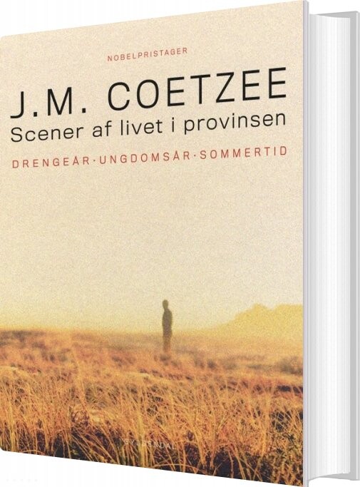 Billede af Scener Af Livet I Provinsen - J. M. Coetzee - Bog