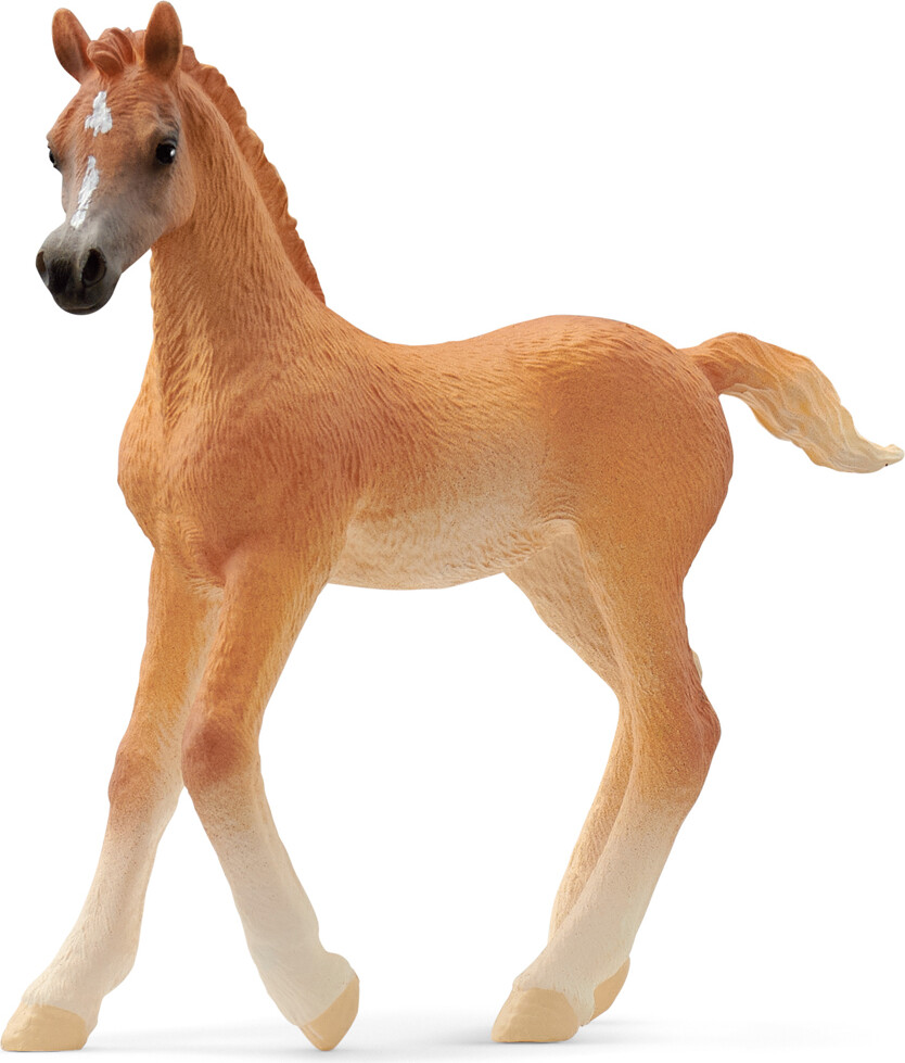 Schleich 13984 - Araberføl Hest - Horse Club