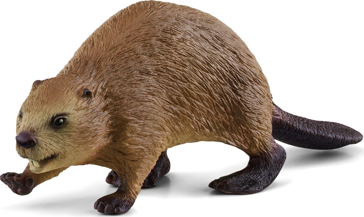 Schleich 14855 - Bæver - Wild Life
