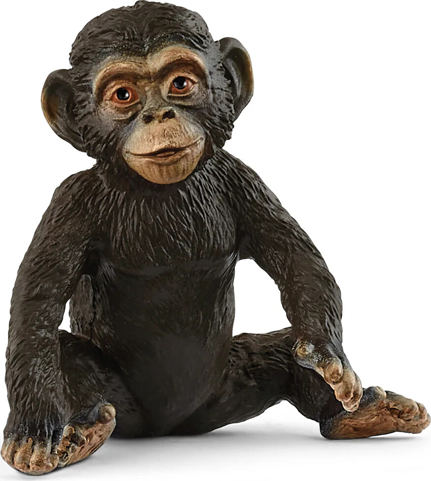 Schleich 14884 - Chimpansee Abe Ungdyr - Wild Life