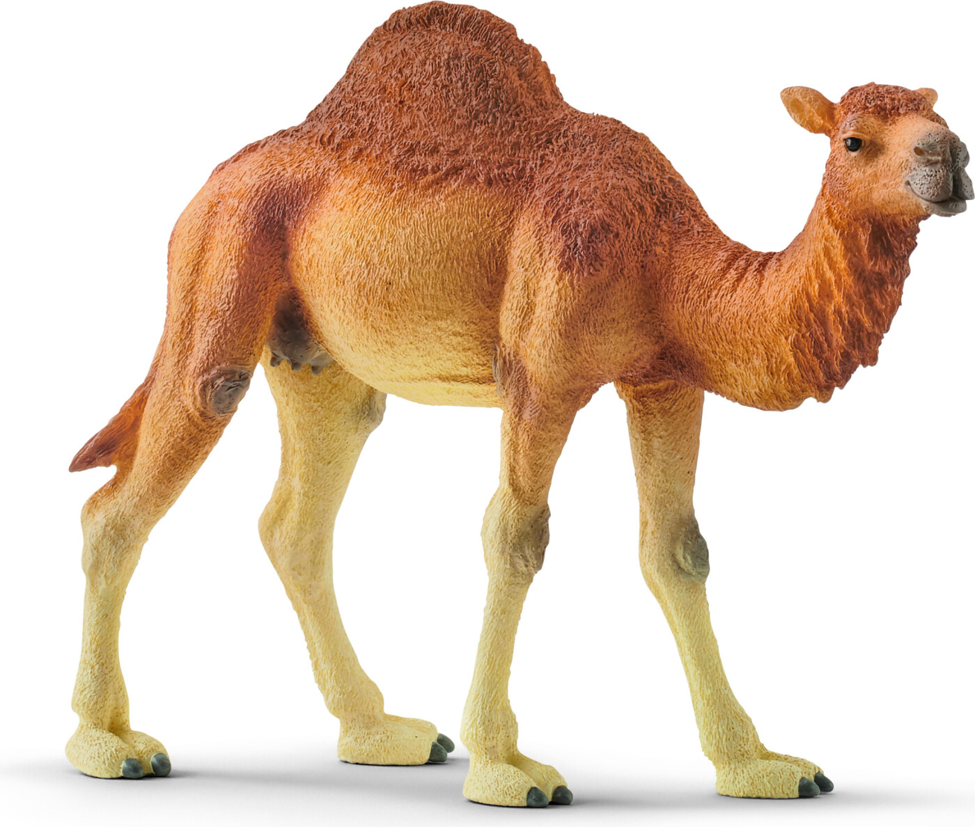 Schleich - Dromedar