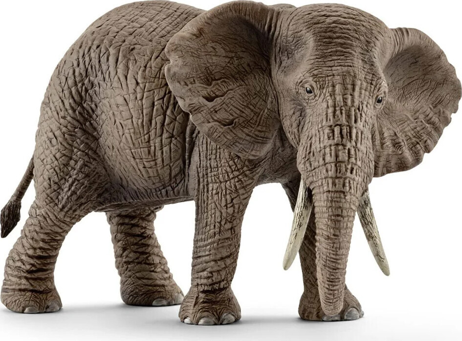 Schleich 14761 - Elefant - Afrikansk Hun - Wild Life