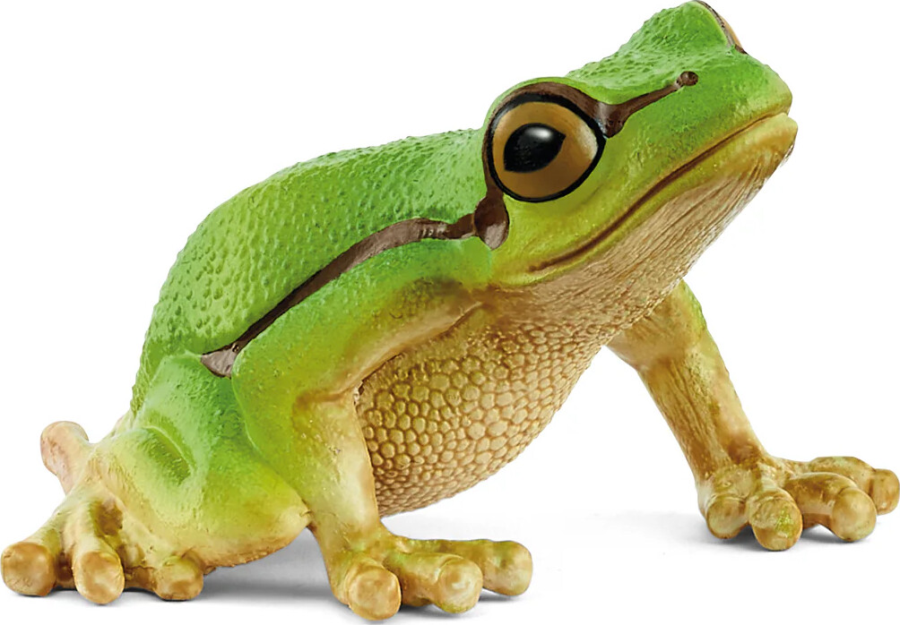 Schleich 14882 - Europæisk Træfrø - Wild Life