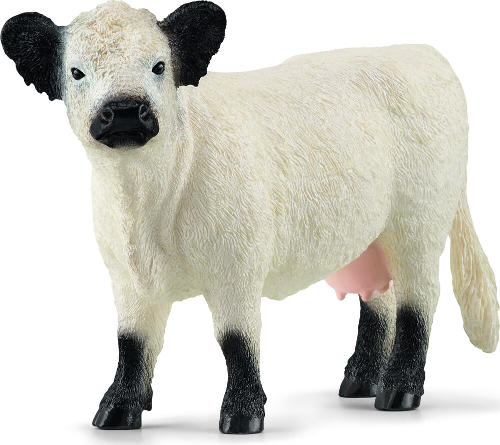 Schleich - Galloway - Ko