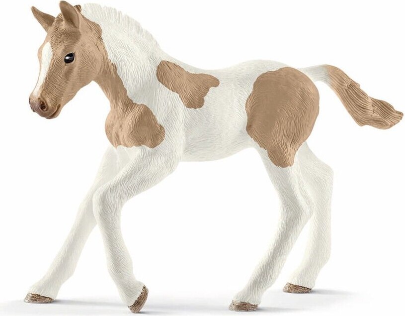 Paint Horse, føl