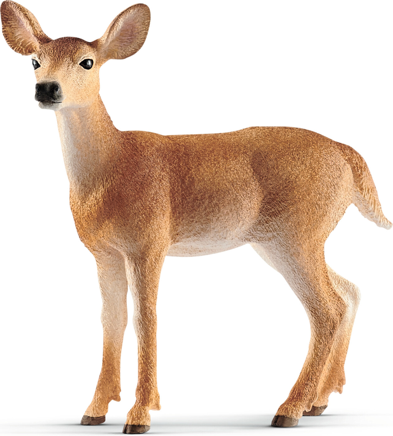 Schleich Wild Life 14819 Hvidhalet Hjort Hun Dyrefigur - 3+år