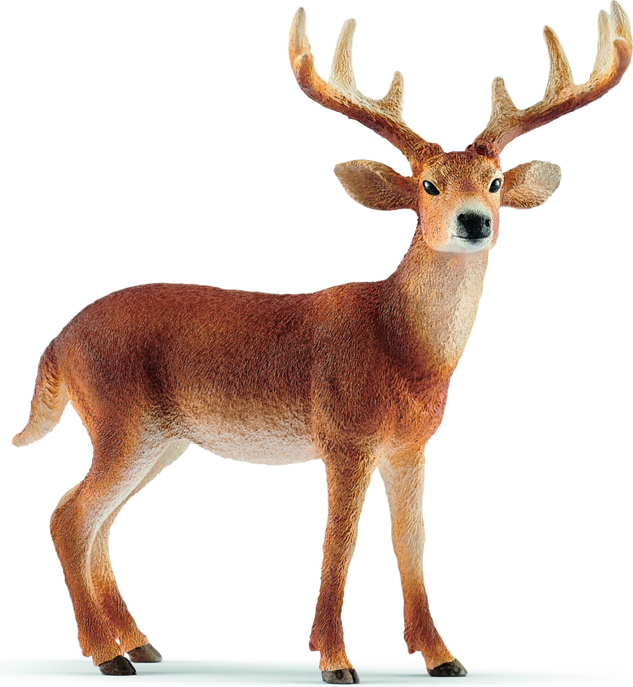 Schleich - Whitetail - Hjort