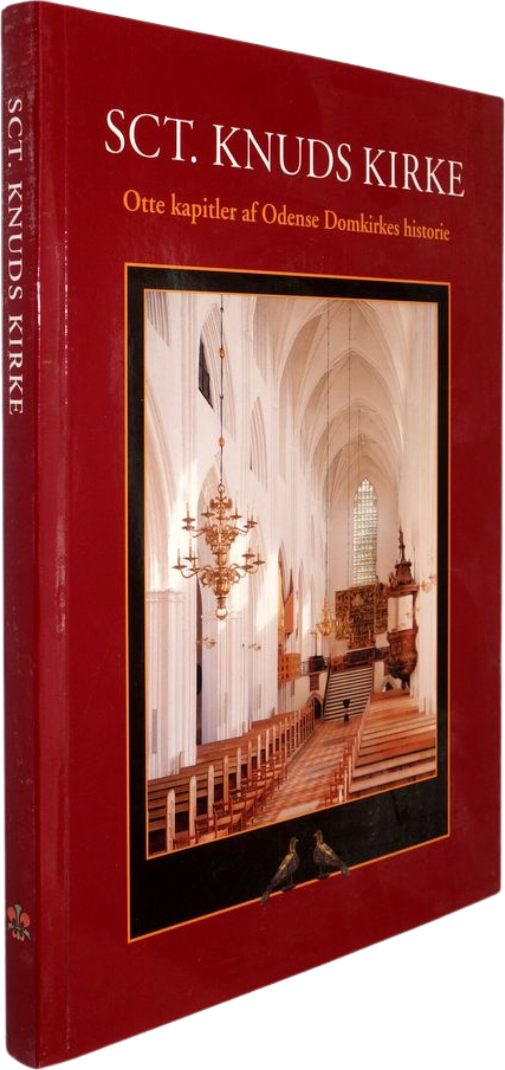 Sct. Knuds Kirke - Birgitte Bøggild Johannsen - Bog