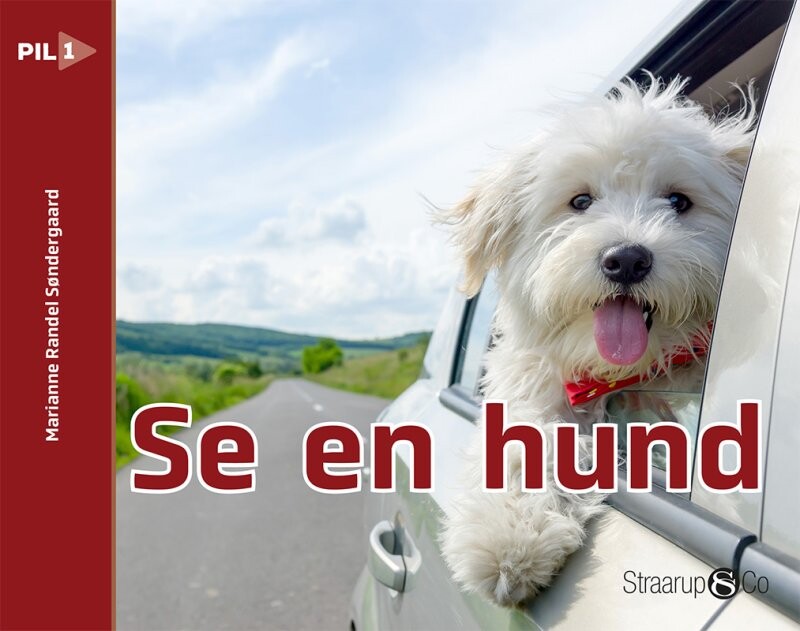 Se En Hund - Marianne Randel Søndergaard - Bog - Straarup & Co