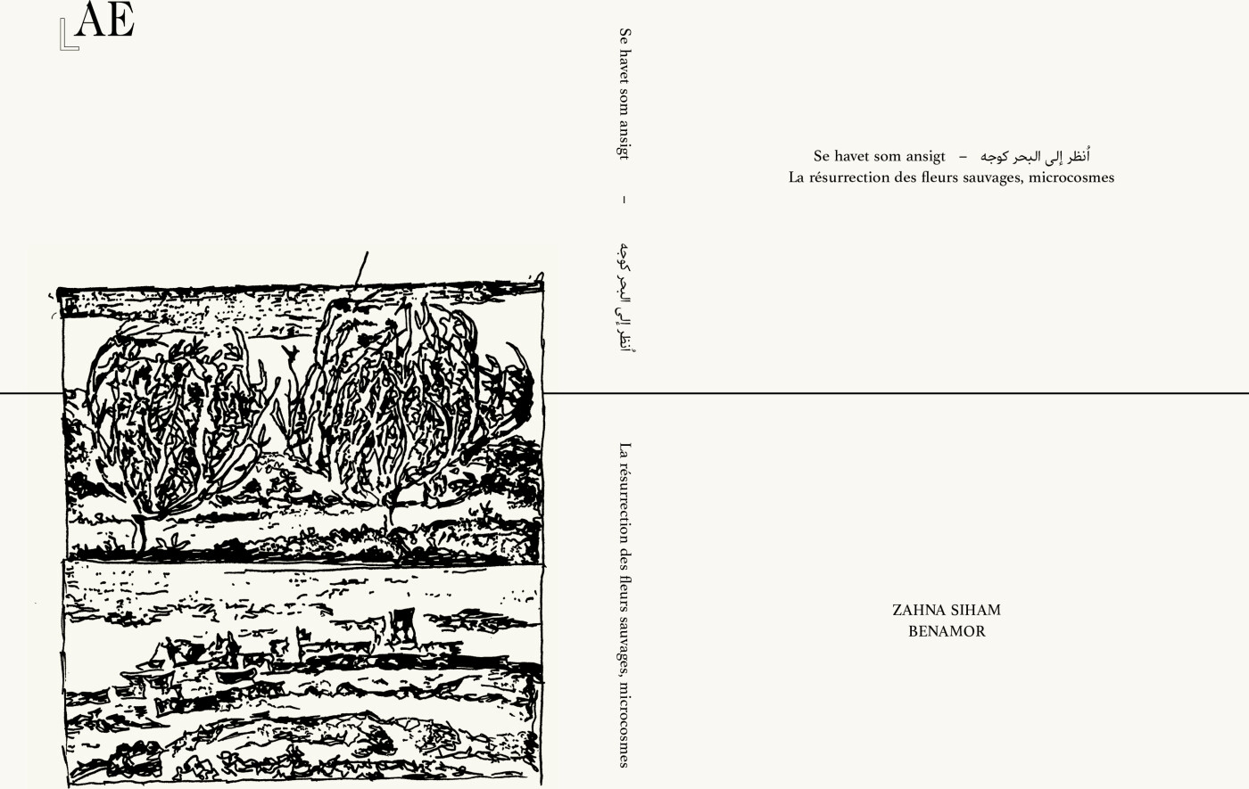 Se Havet Som Ansigt - Zahna Siham Benamor - Bog