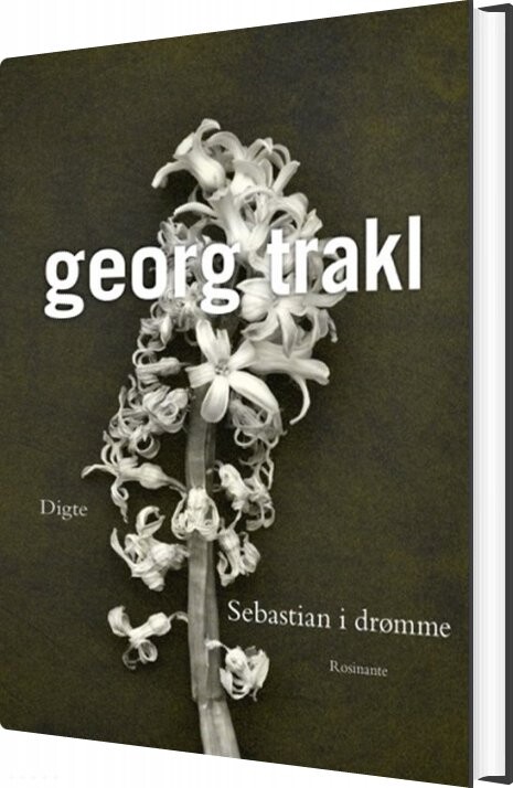 Sebastian I Drømme - Georg Trakl - Bog