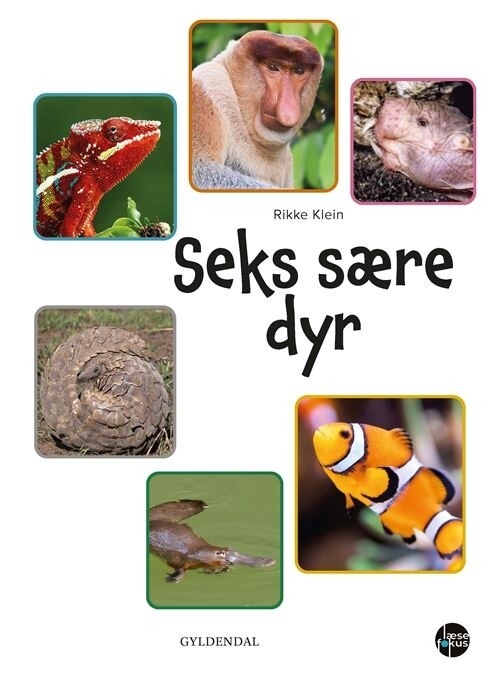 Seks Sære Dyr - Rikke Klein - Bog - Gyldendal