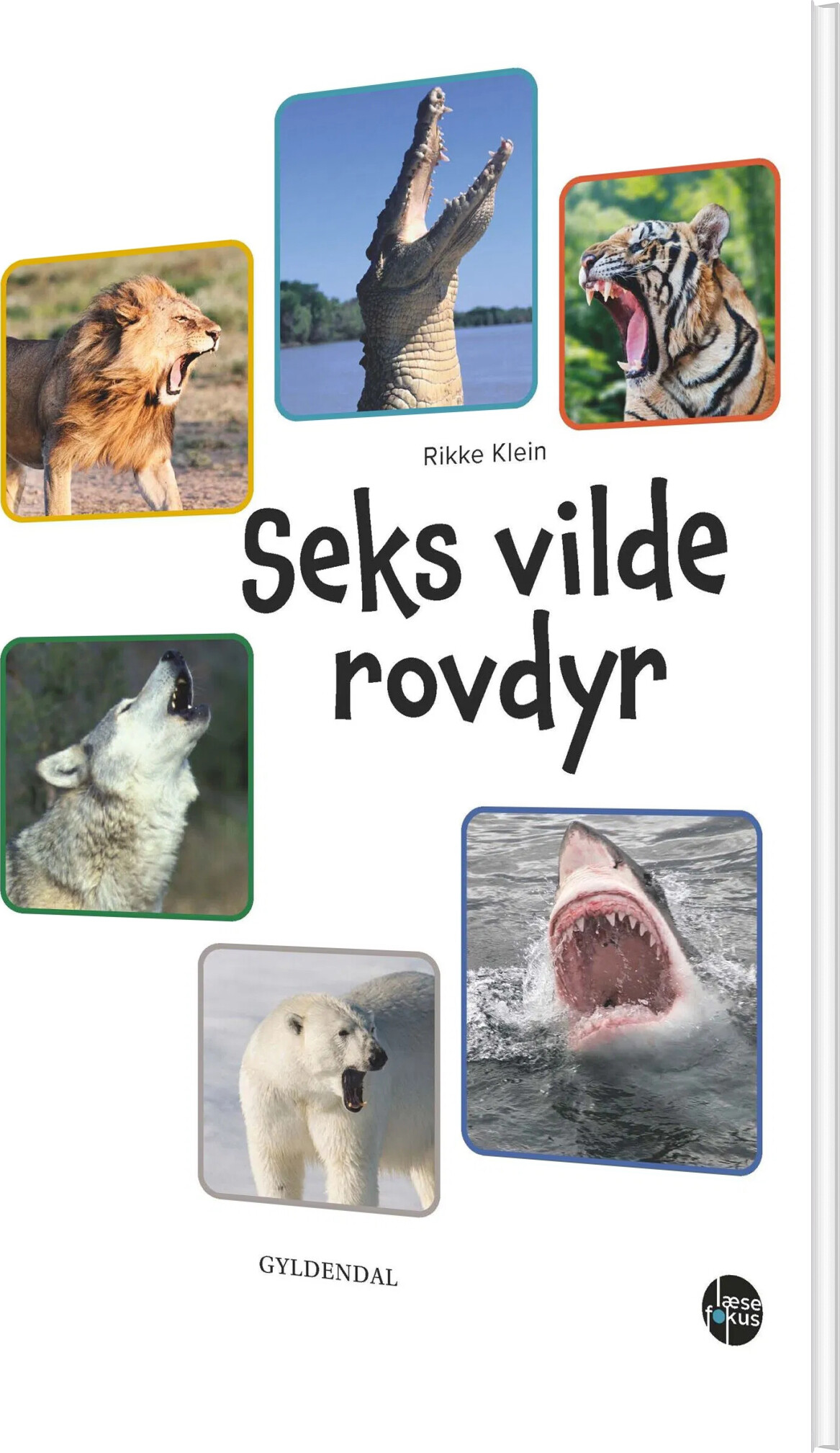 Seks Vilde Rovdyr - Rikke Klein - Bog