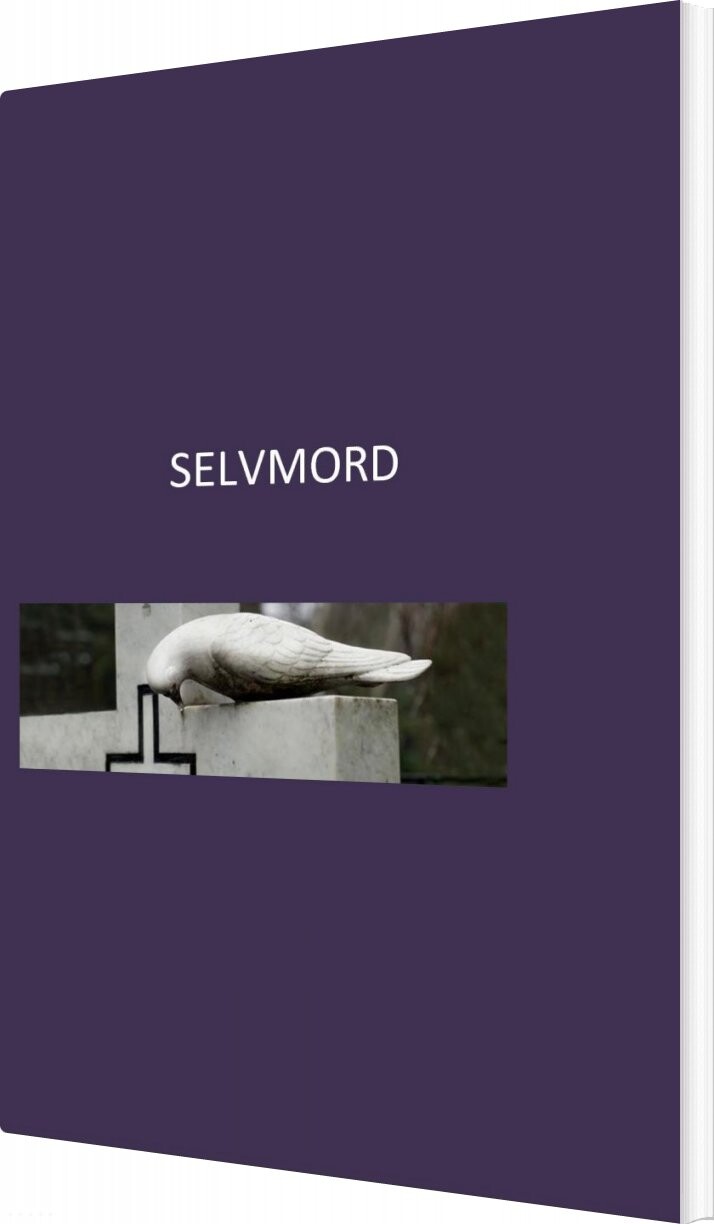 Billede af Selvmord - Merethe Haue - Bog