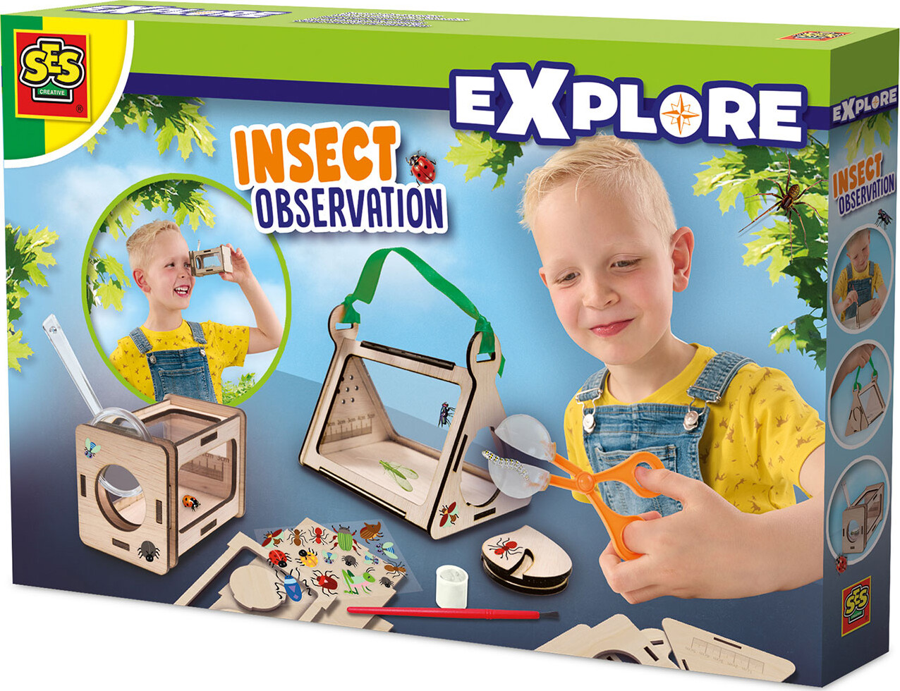 Ses Creative - Insektstudie