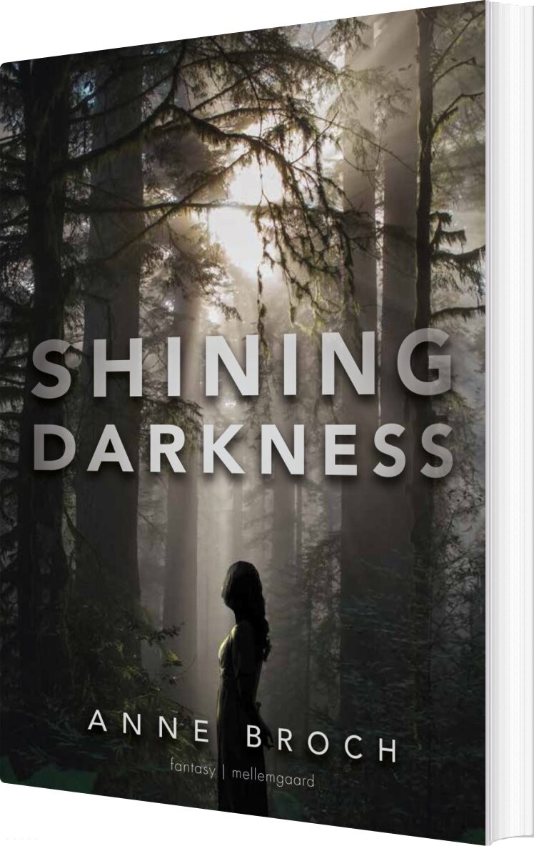 Shining Darkness - Anne Broch - English Book