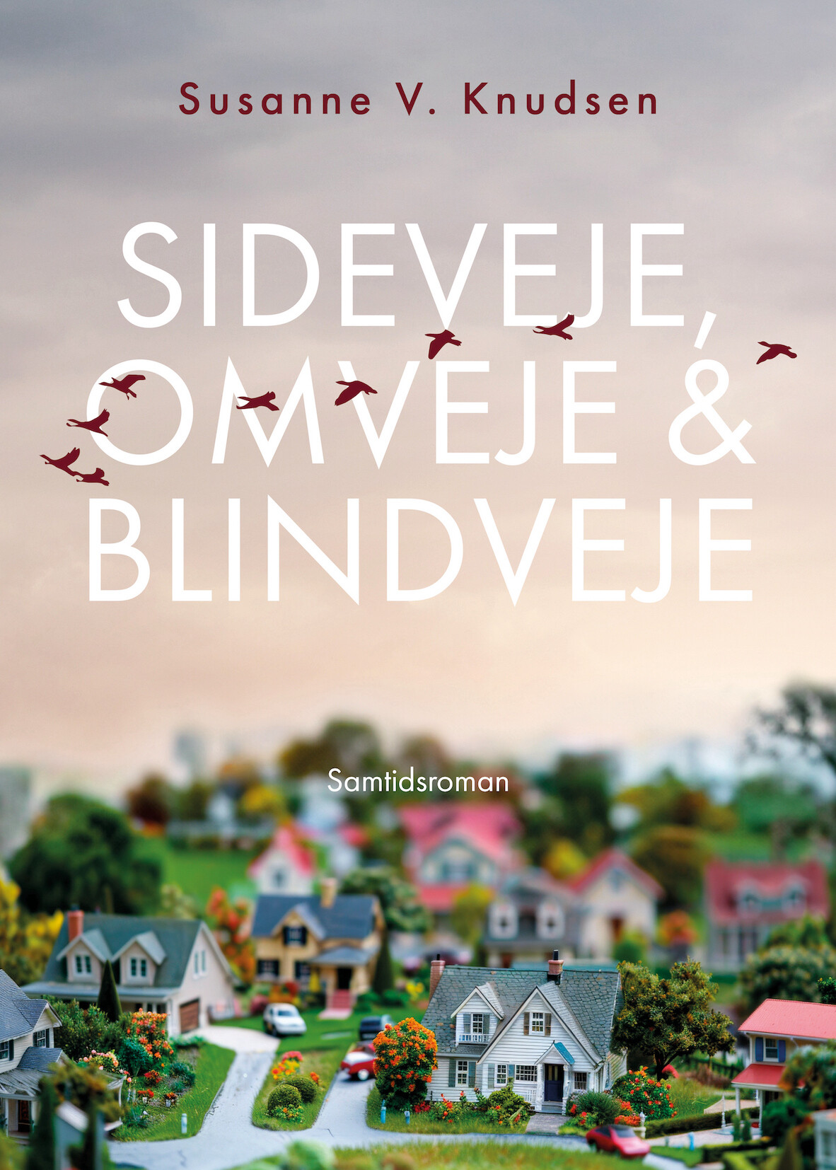 Billede af Sideveje, Omveje & Blindveje - Susanne V. Knudsen - Bog