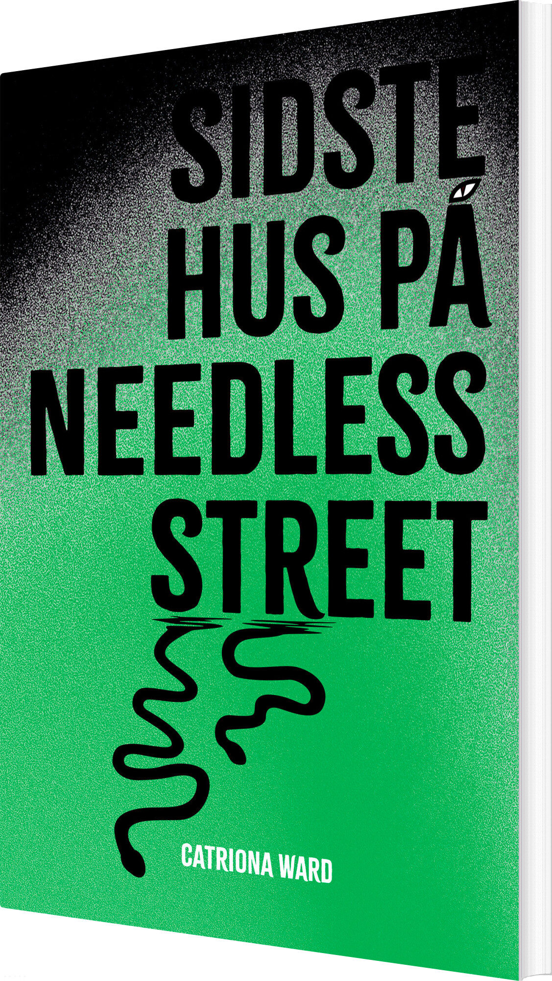 Sidste Hus På Needless Street - Catriona Ward - Bog