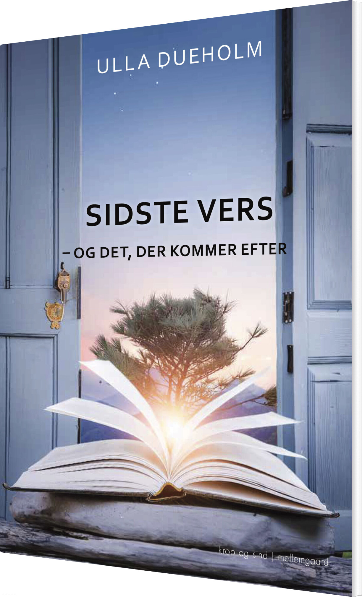 Sidste Vers - Ulla Dueholm - Bog