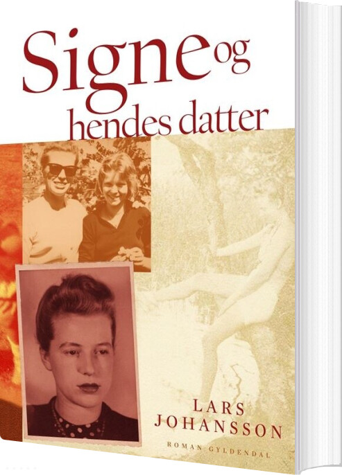 Billede af Signe Og Hendes Datter - Lars Johansson - Bog