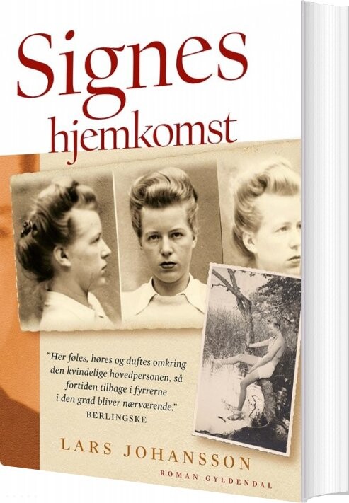 Signes Hjemkomst – Lars Johansson – Bog