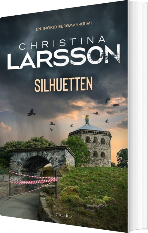 Silhuetten - Christina Larsson - Bog
