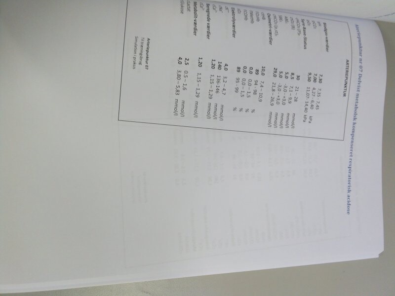 Simulation I Praksis - Peter Dzougov - Bog