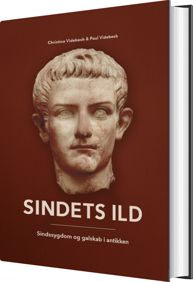 Sindets Ild - Poul Videbech - Bog