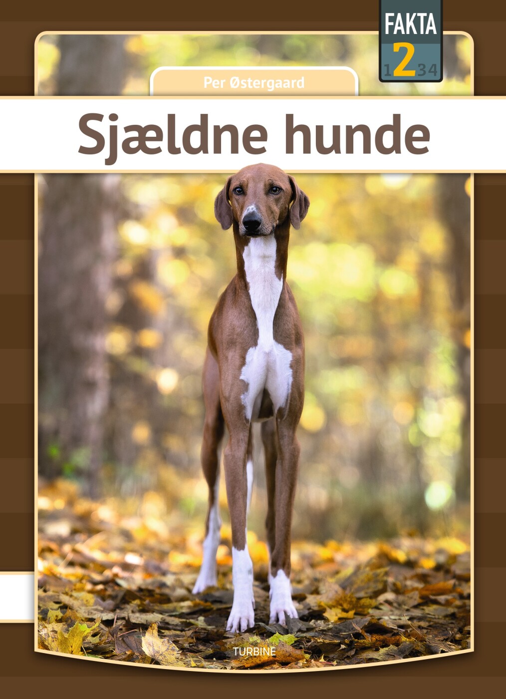 Sjældne Hunde - Per østergaard - Bog
