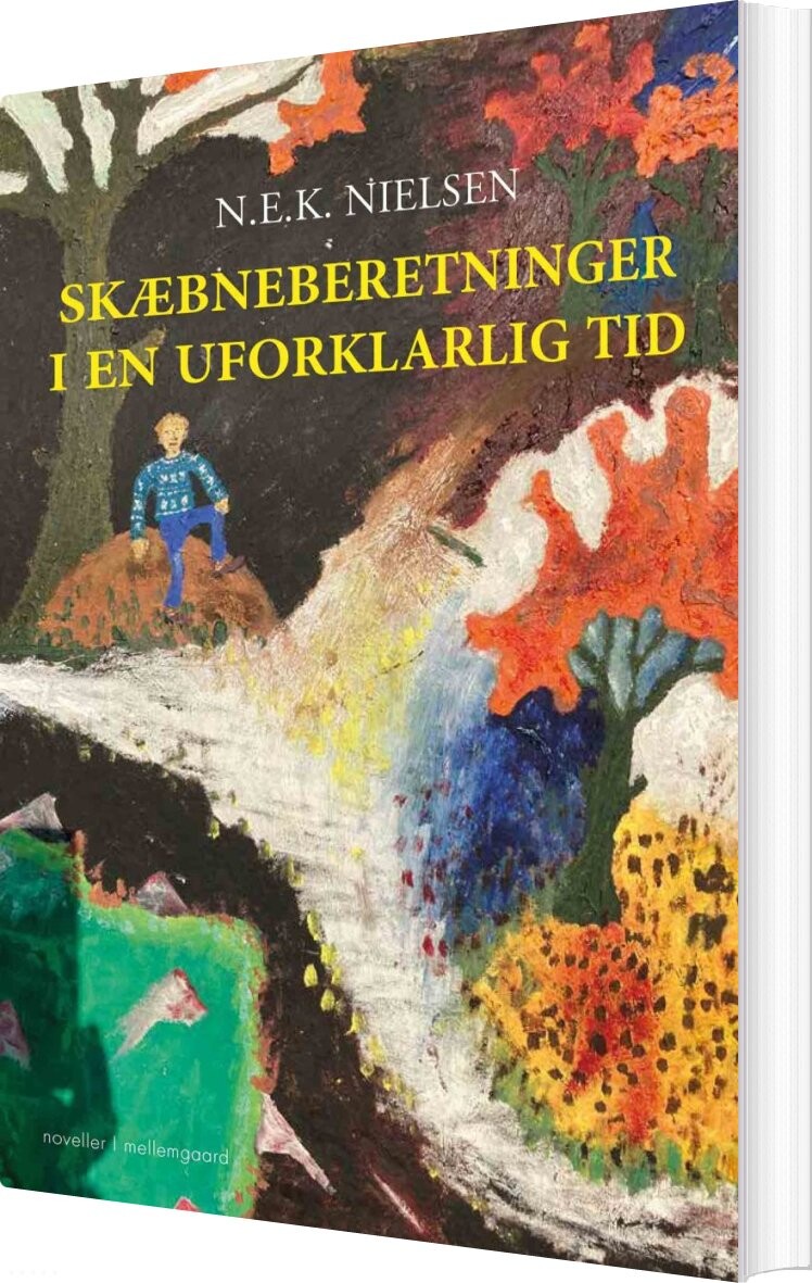 Skæbneberetninger - N.e.k. Nielsen - Bog