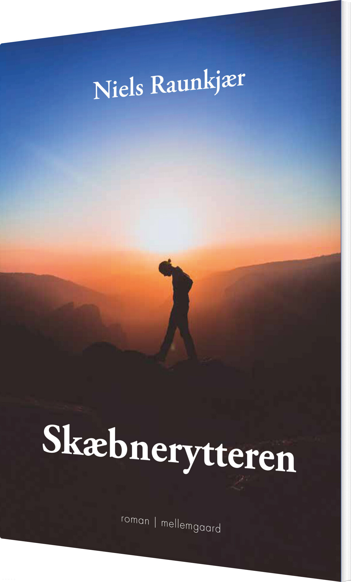 Skæbnerytteren - Niels Raunkjær - Bog