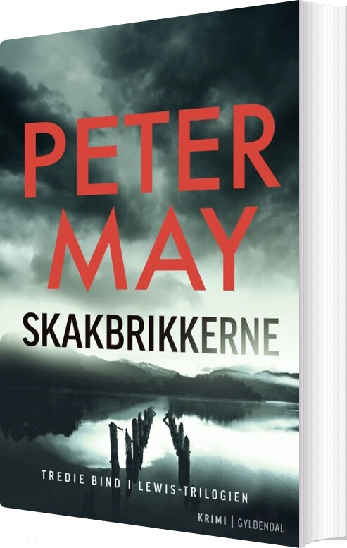 Skakbrikkerne - Peter May - Bog