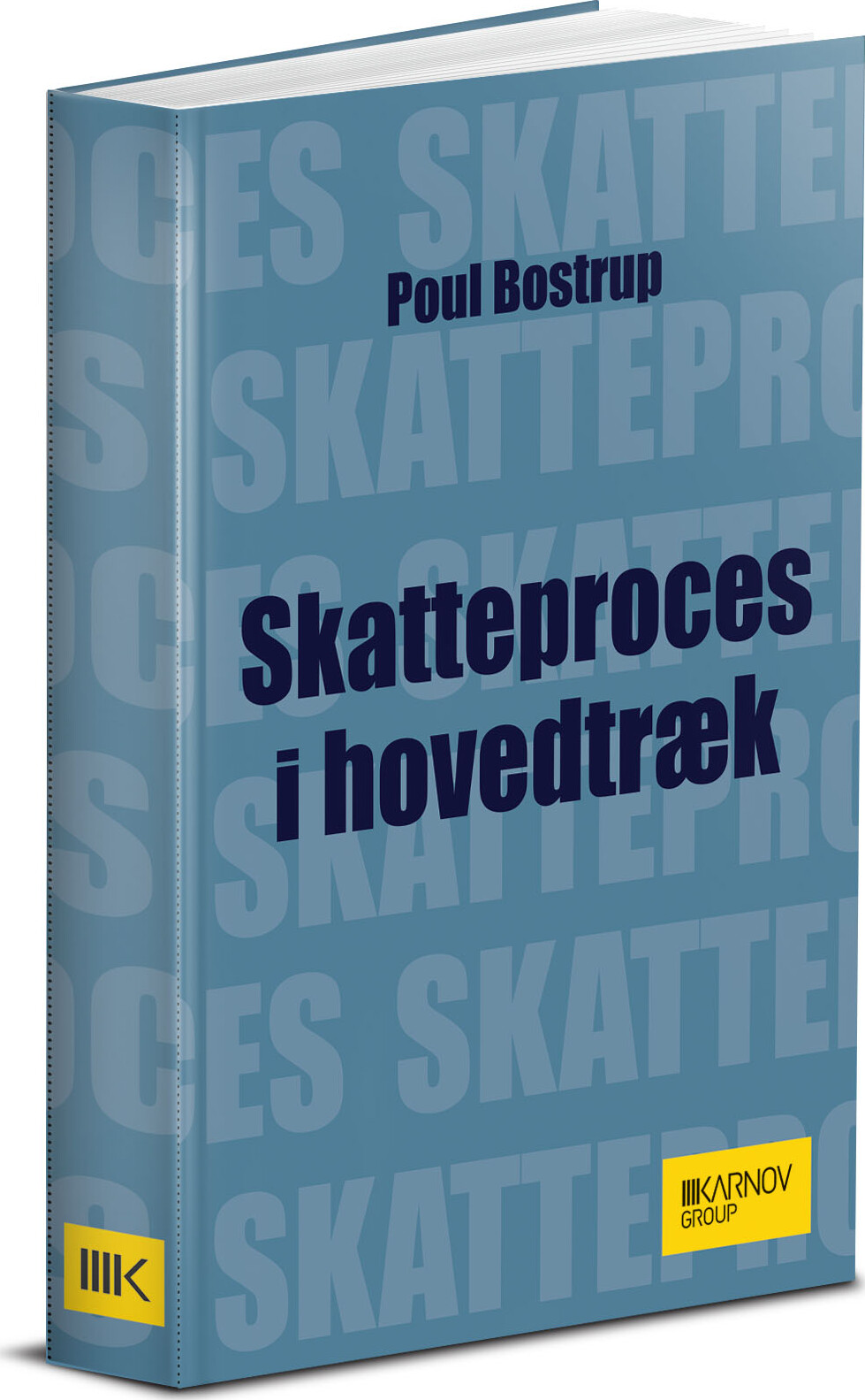 Skatteproces I En Nøddeskal - Poul Bostrup - Bog