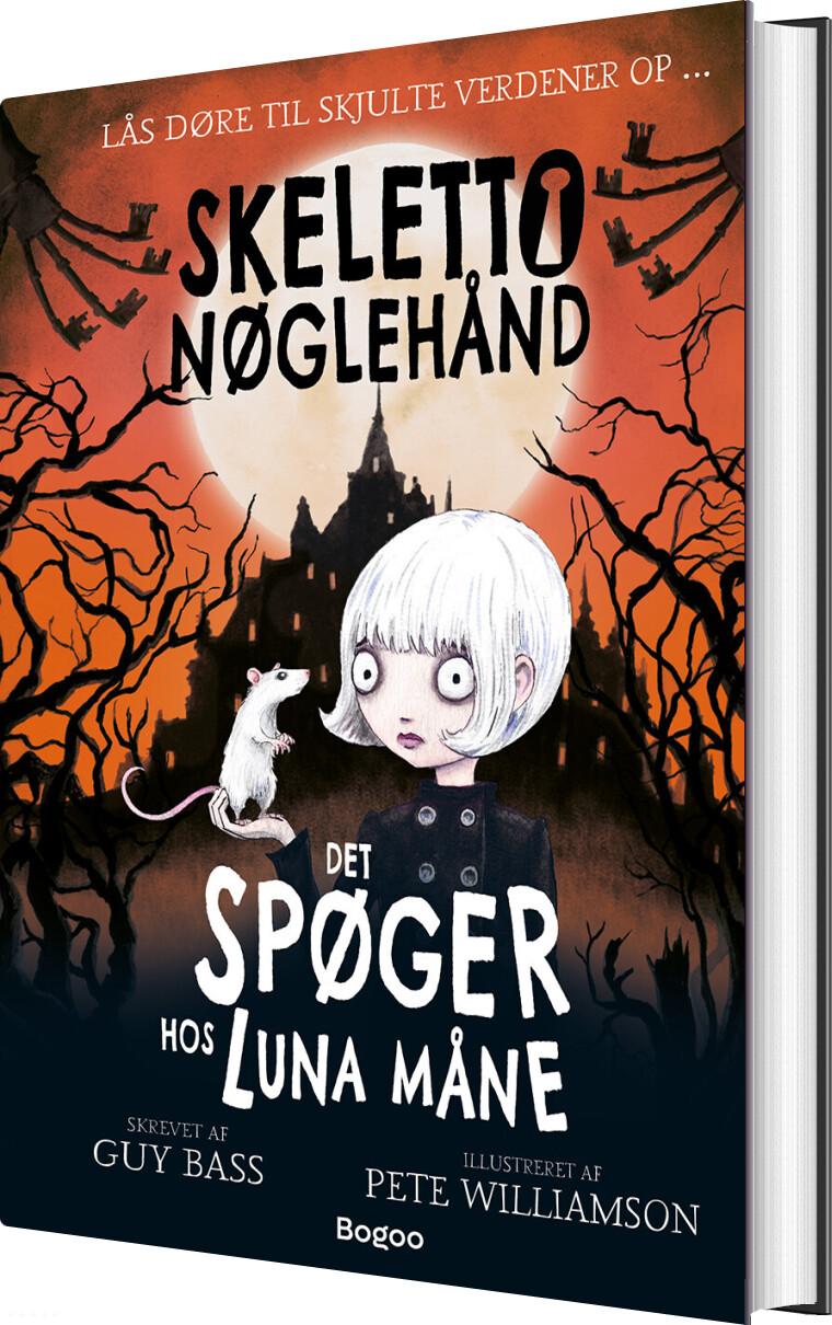 Skeletto Nøglehånd: Det Spøger Hos Luna Måne - Guy Bass - Bog