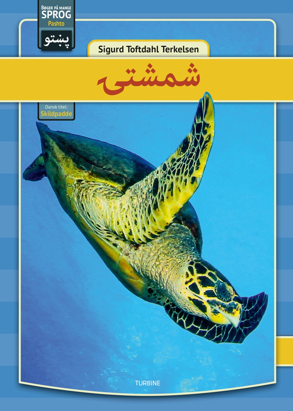 Skildpadder - Pashto - Sigurd Toftdahl Terkelsen - Bog