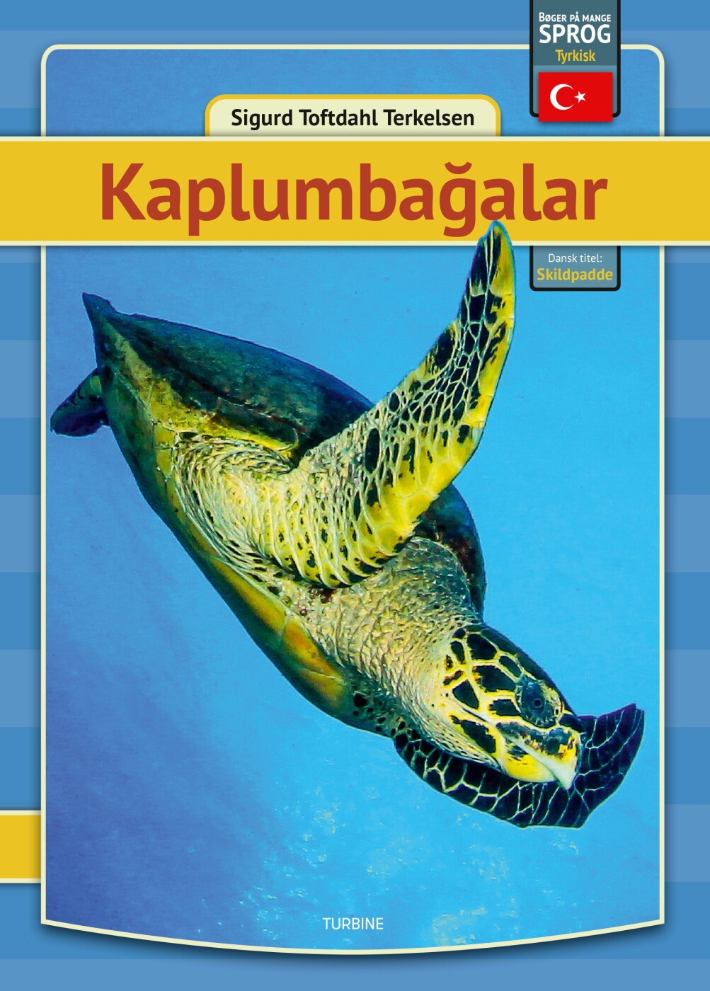 Skildpadder - Tyrkisk - Sigurd Toftdahl Terkelsen - Tyrkisk Bog