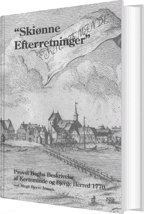 Skiønne Efterretninger - Birgit Bjerre Jensen - Bog