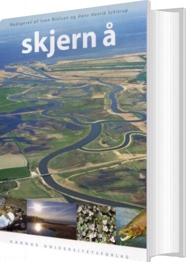 Billede af Skjern å - Ivan Nielsen - Bog