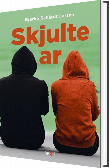 Billede af Skjulte Ar - Bjarke Schjødt Larsen - Bog hos Gucca.dk