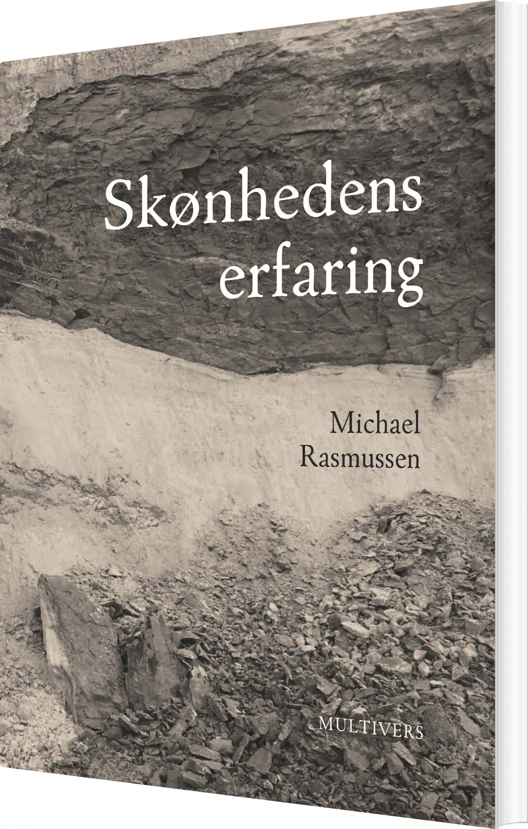 Billede af Skønhedens Erfaring - Michael Rasmussen - Bog