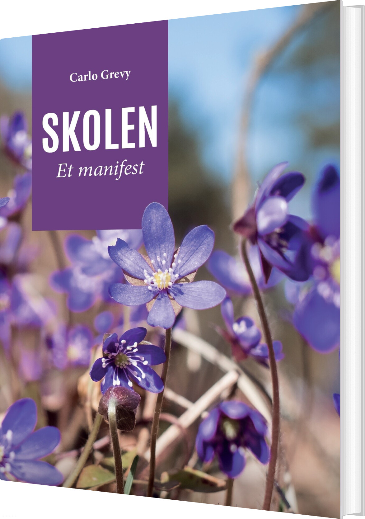 Billede af Skolen. Et Manifest - Carlo Grevy - Bog