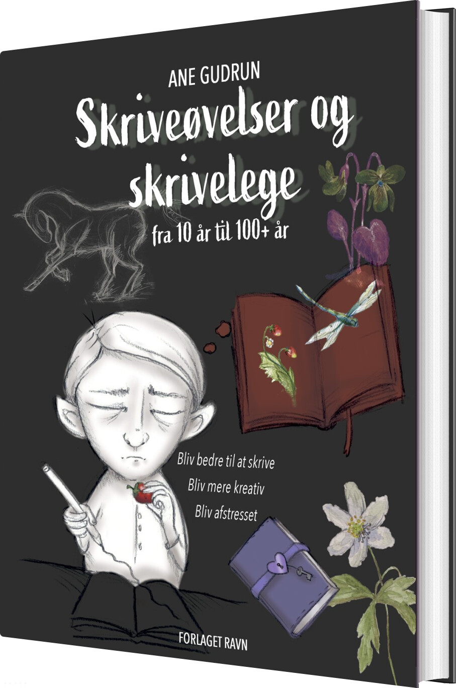 Billede af Skriveøvelser Og Skrivelege - Ane Gudrun - Bog